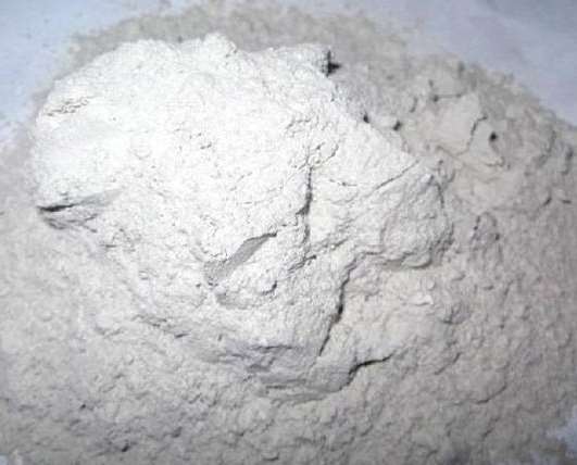 碳酸酐酶在碳酸鈣礦化中的多重作用